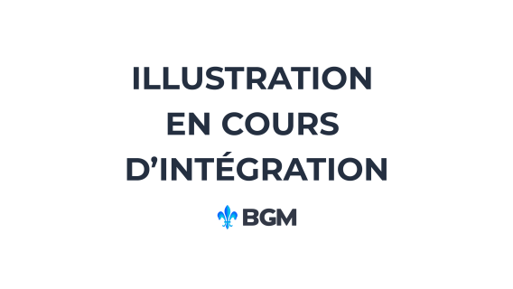 100 douilles 38 SPL